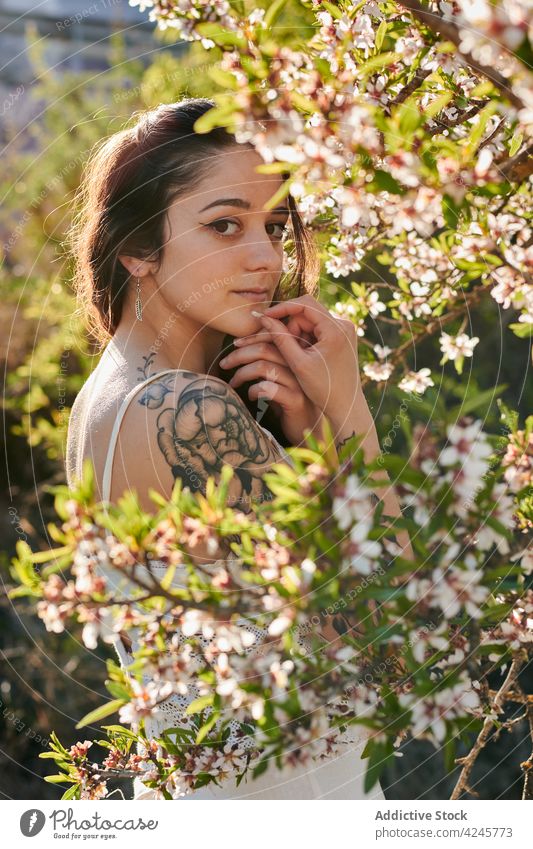 Romantic woman among blooming branches tree romantic white dress calm charming gentle style flora beautiful summer nature plant blossom flower young female