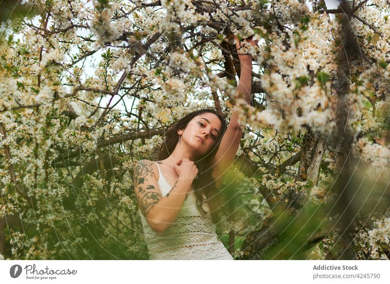 Romantic woman among blooming branches tree romantic white dress calm charming gentle style flora beautiful summer nature plant blossom flower young female