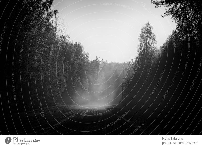 village roads. Road without asphalt. Dust and dirt. Sunset. country lane forest foggy mist wet traffic driving weather concept nature landscape transportation