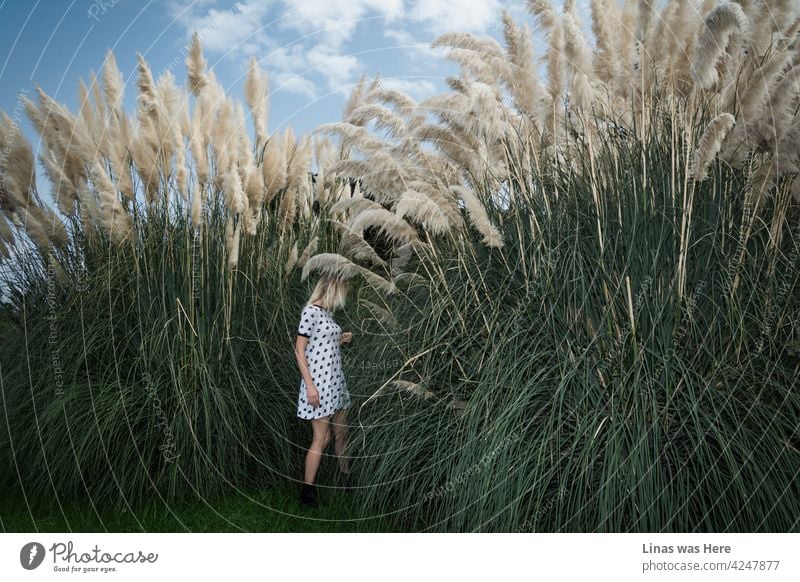 It’s always a great choice to travel to Tenerife for holidays. This gorgeous blonde girl enjoys botanical gardens in Puerto de la Cruz. The sky is blue, a few fluffy clouds, everything is green around, and a girl dressed in a white dress is having fun.