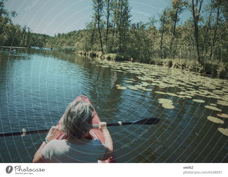 balance Boating trip relaxation Freedom Rowboat peacefully Idyll Glide Lake River Summer vacation Canoeing Long shot Rowing Paddling Canoe trip