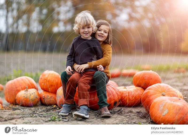 Two little boys having fun in a pumpkin patch halloween nature field park autumn fall family kids children together togetherness people happy smiling caucasian