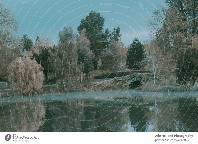 A timeless view of a quiet morning lake Lake Water Calm Footbridge Landscape Environment Nature Lakeside Idyll Sky Deserted Reflection Colour photo Relaxation