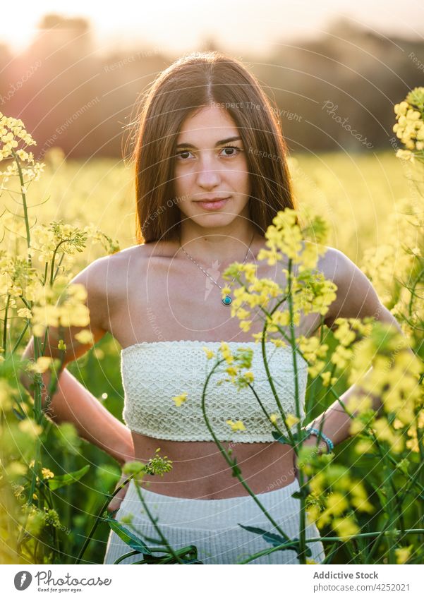 Woman standing on verdant field woman joyful style blossom summer nature carefree sunny rapeseed feminine bloom serene emotional attractive beautiful tender