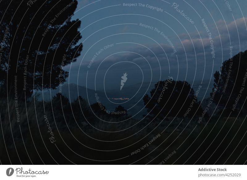 Scenic hilly forested terrain at dark night scenery nature peaceful hillside countryside dusk picturesque evening tranquil seville spain settlement scenic