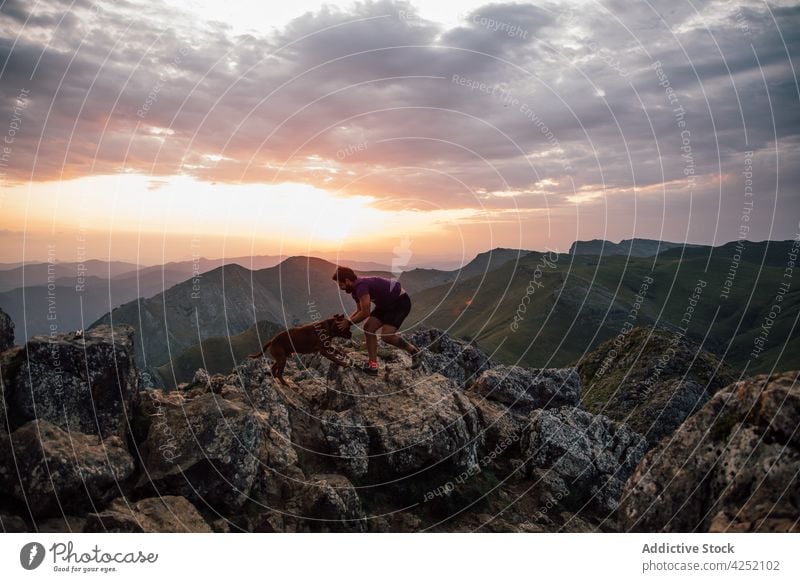 Man with dog on high mountain peak man cliff hike love caress together friend hill evening sky cloud sunset sundown highland adventure rocky harmony txindoki