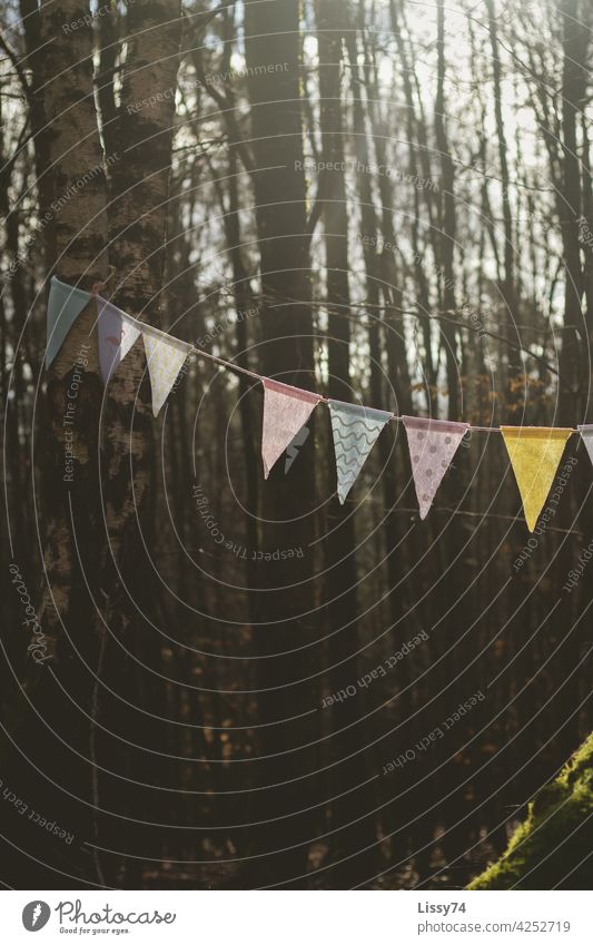 A colorful pennant chain, hung between 2 birch trees in the forest, illuminated by the autumn sun Pennant garland Paper chain variegated Pattern Forest Nature