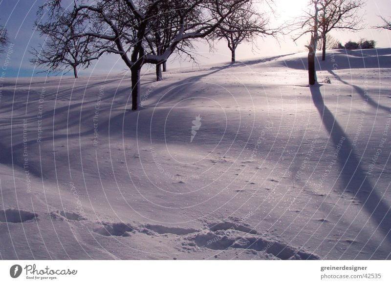 winter landscape Back-light Winter Footprint Mountain Snow