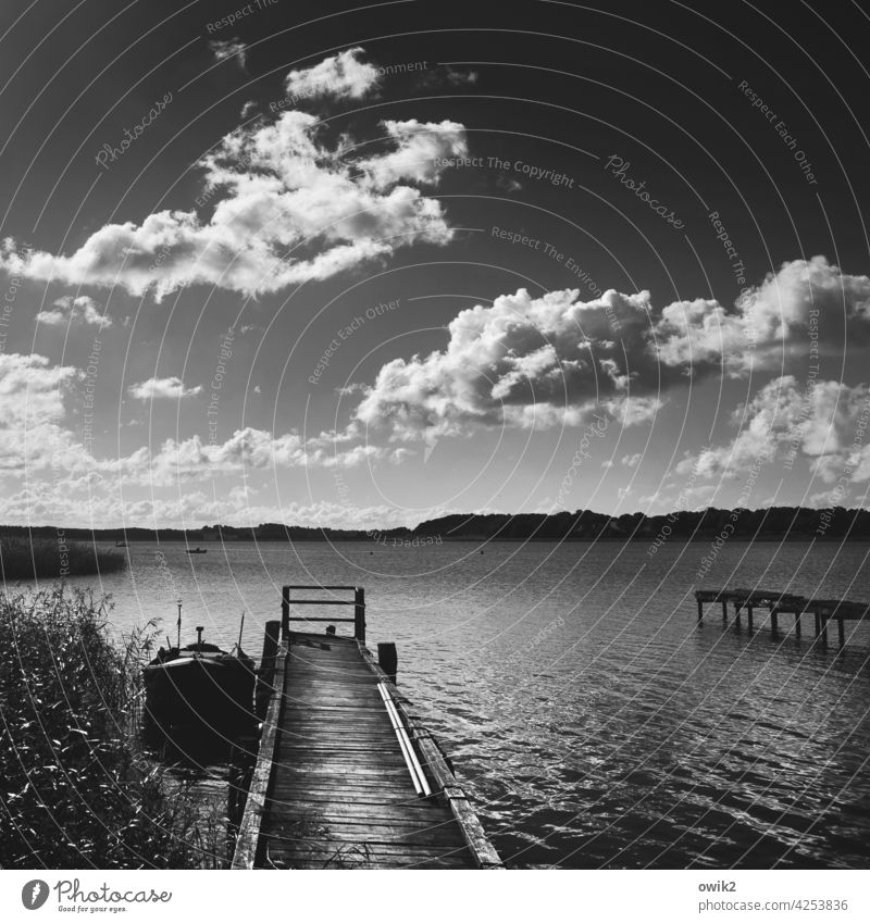 Wood is patient Footbridge Black & white photo Low-key Twilight Evening Deserted Copy Space top Exterior shot Closing time Peaceful Contentment Idyll Calm