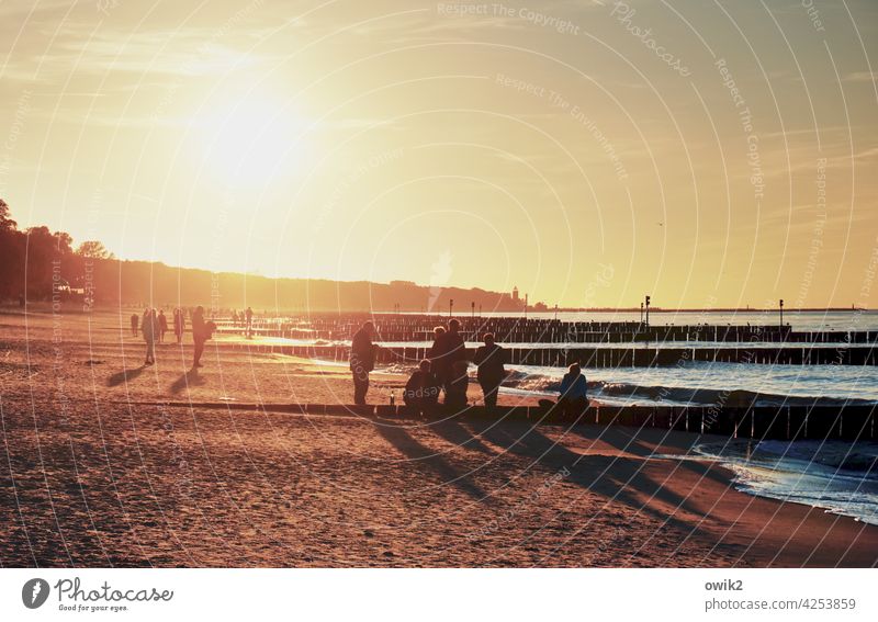 beach picture Baltic Sea Idyll Warm light luminescent Glittering Brilliant Sandy beach Beautiful weather Panorama (View) Group people strollers Longing