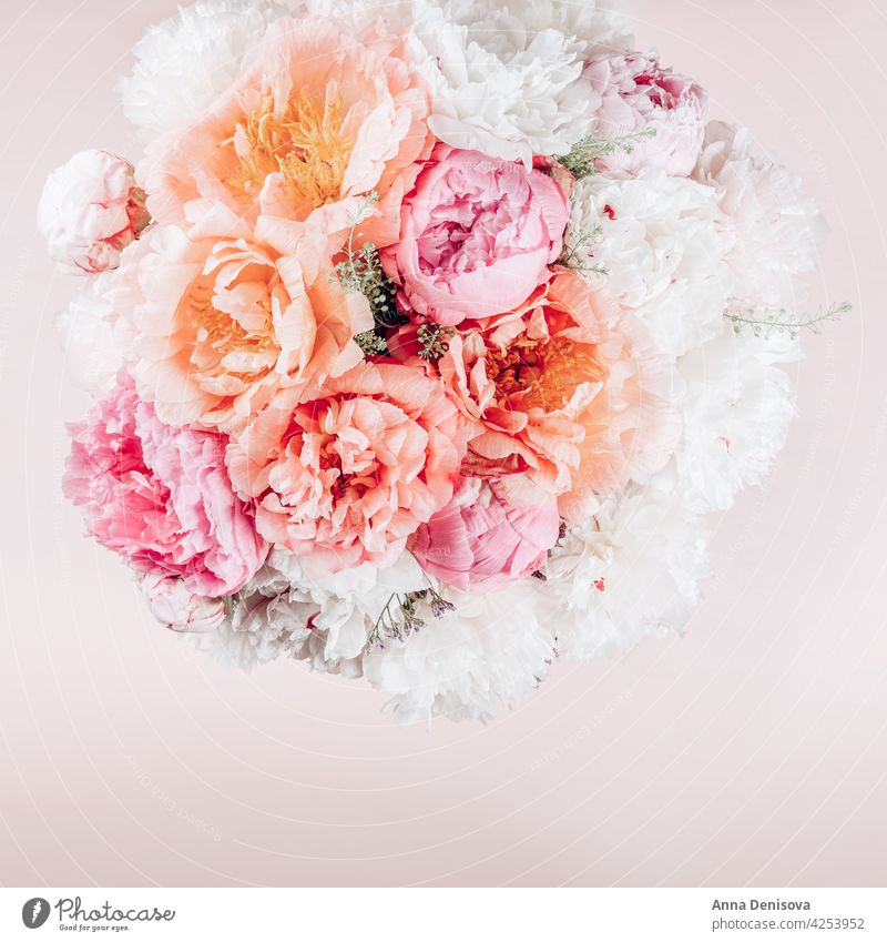 Amazing Fresh bunch of pink peonies peony bunch of peonies peonies bouquet pale pink flower bunch of flowers roses bouquet of flowers blooms arrangements