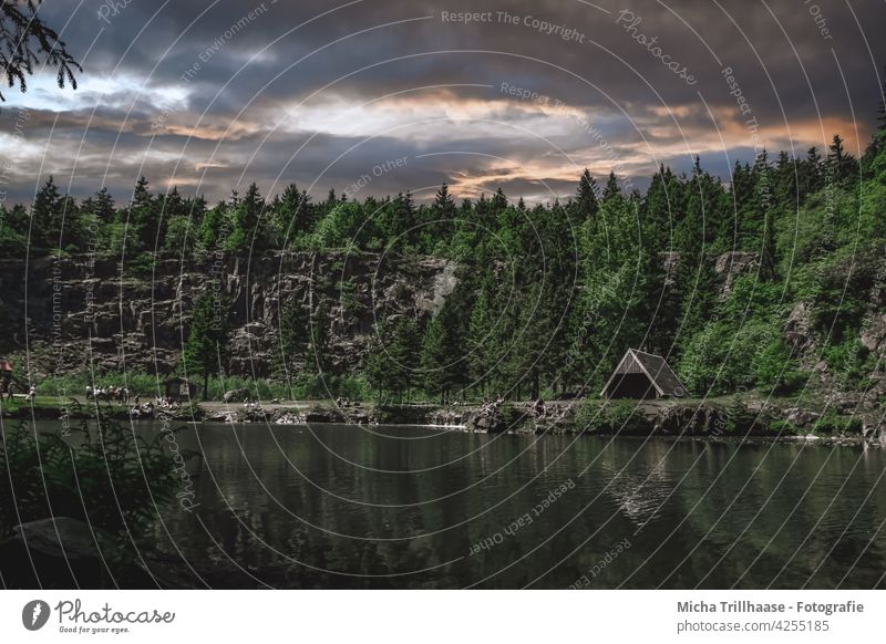 Mountain lake at the Ebertswiese / Thuringian Forest Thueringer Wald Lake Water trees Hut Rock Wall of rock stones bank mountain lake Sky Clouds Sun Landscape