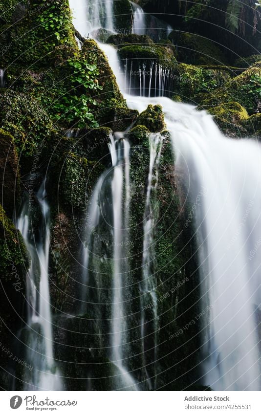 Rapid waterfall flowing through rocky slope stream cascade moss stone cliff nature mountain landscape wild scenery scenic environment tree plant rapid green