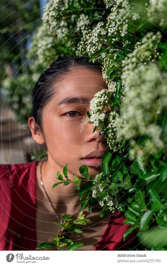 Young Asian woman standing near blooming bush in sunny garden tender sensitive flower young calm lush blossom foliage nature park delicate romantic dreamy