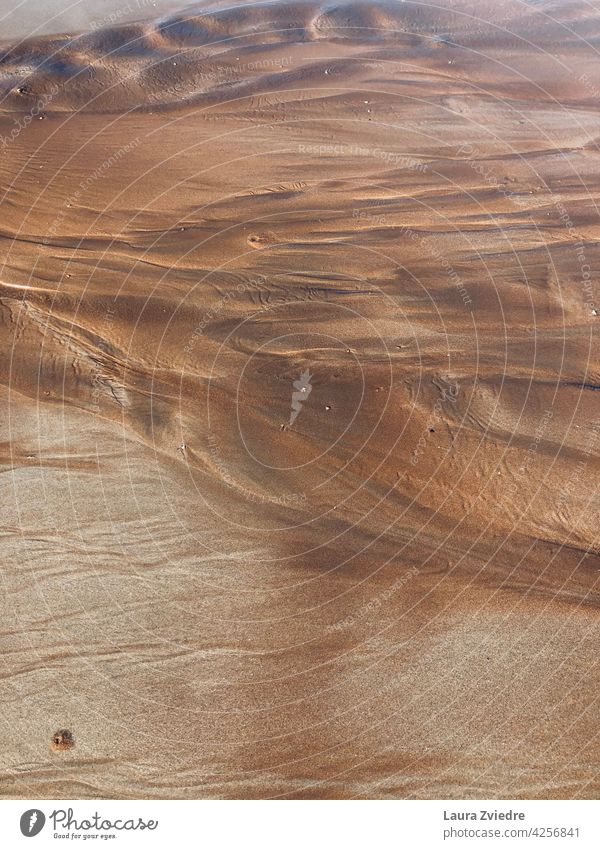 Water and sand Sand Pattern patterns Structures and shapes Water mark Sand close-up Abstract Grain of sand Close-up Beach Sandy beach Exterior shot