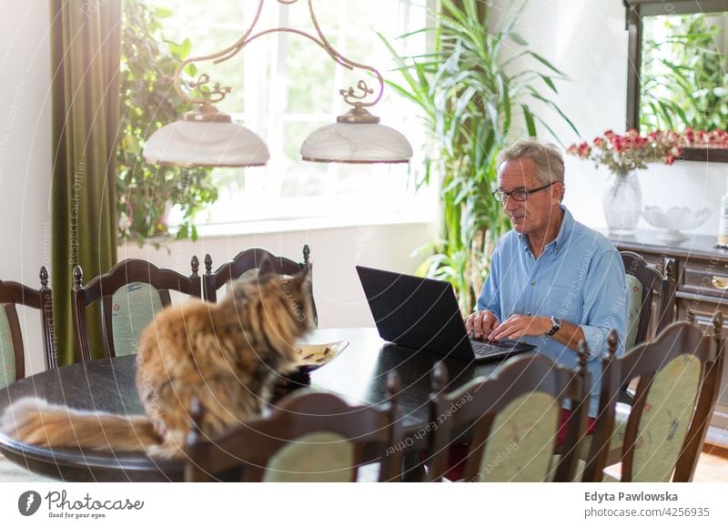 Senior man working on laptop at home senior old men male house people lifestyle enjoying domestic life real people pensioner pensioners casual adult one person