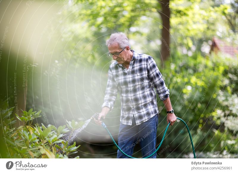 Retired man watering plants in the garden senior old men male home house people lifestyle enjoying at home domestic life real people pensioner pensioners casual