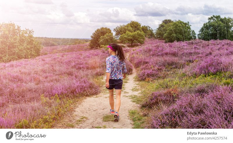 A female hiking along heather covered hills, Hoge Veluwe, Netherlands blooming moor velvet walking walker exploration back park journey travel footpath pink