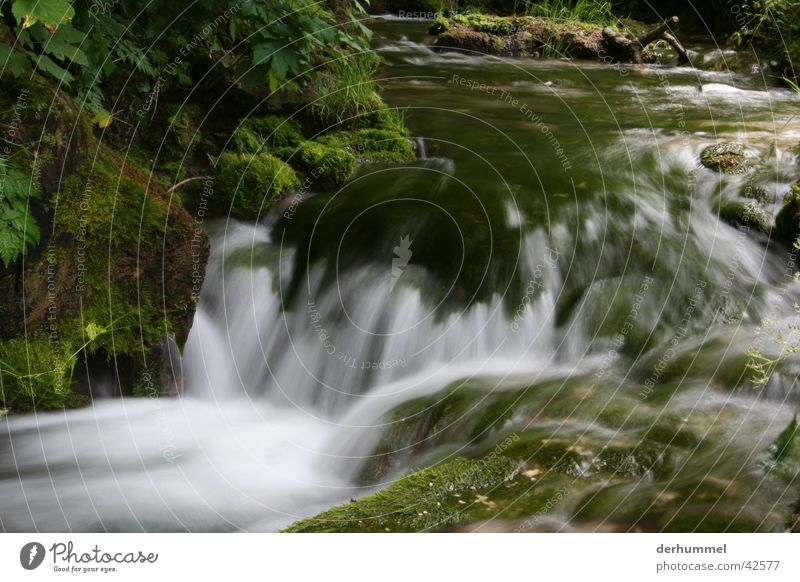 brook Brook Foam White crest Water small river River Nature