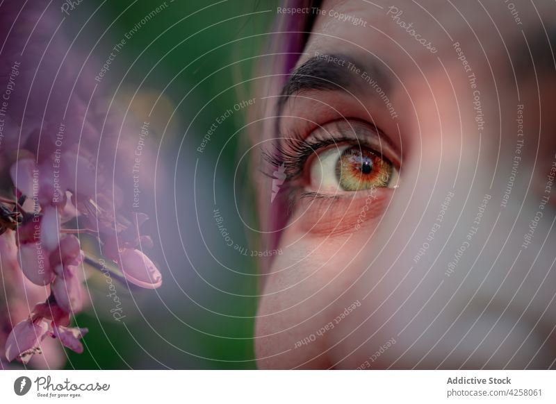 Crop woman with green eyes standing near blooming tree serene flower nature glance garden peaceful face sunlight natural gentle summer calm daylight dreamy