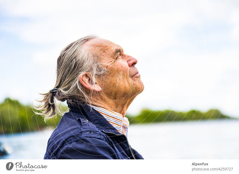 the observer Senior citizen confident Positive Future Joy Hope Happy fortunate Human being Smiling relaxed Man optimistic older adult Old Masculine Senior men