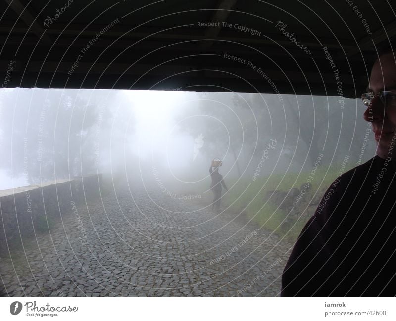 The fog Fog Dark Loneliness Country road Clouds Mountain Shadow