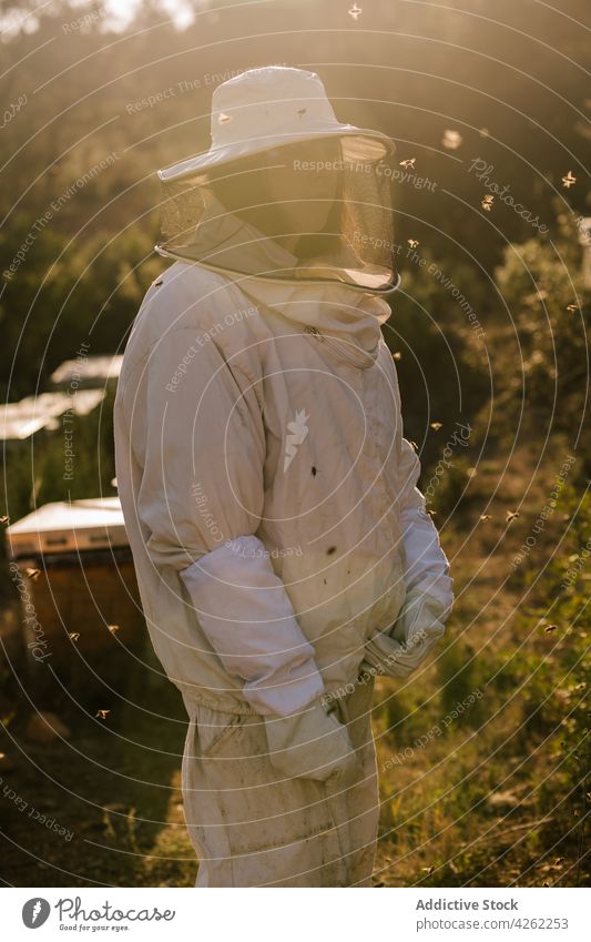 Female beekeeper working in apiary in sunny day woman field uniform protect mask costume adult worker safety green nature countryside professional