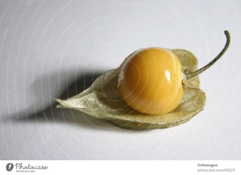 physalis Yellow-orange Orange Fruit