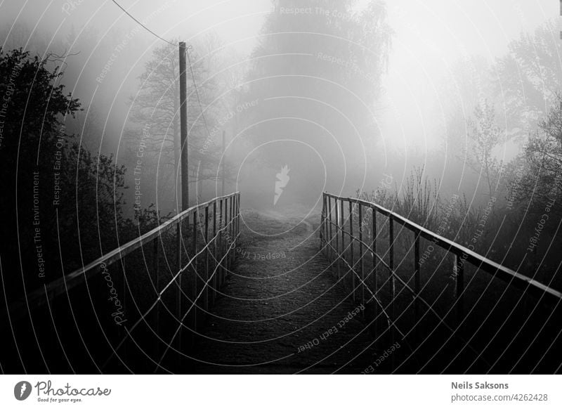 A footbridge over a river in the woods autumn blurred color creek damp environment exploration fall flowing fog foggy forest hiking landscape leisure latvia