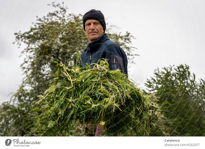 Man gardening in spring , on a grey cold day Meadow Lawn Garden daylight Day Spring Grass Plant Nature flora person masculine Gardening Cap cut grass Sky Gray