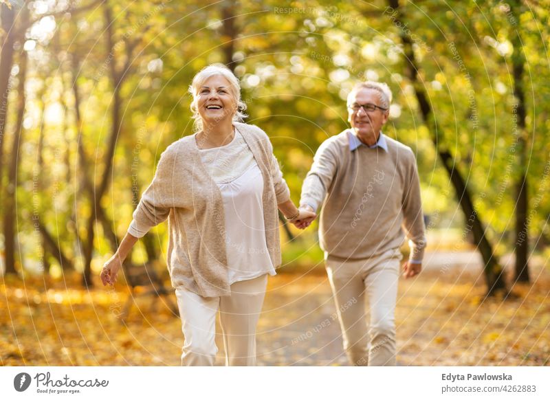 Senior couple in autumn park family woman love people outdoors portrait together nature two beautiful fall trees yellow senior mature seniors pensioner