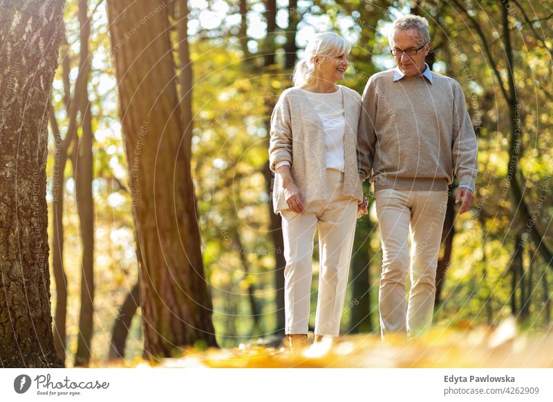 Senior couple in autumn park family woman love people outdoors portrait together nature two beautiful fall trees yellow senior mature seniors pensioner