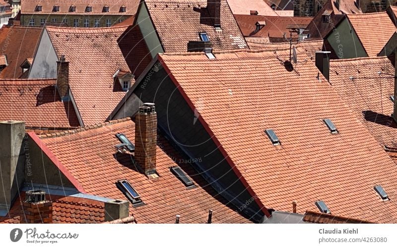 Roof world rooftop landscape house roofs Architecture Town building Building architecture sea of rooftops above the roofs Bamberg City tour Vantage point