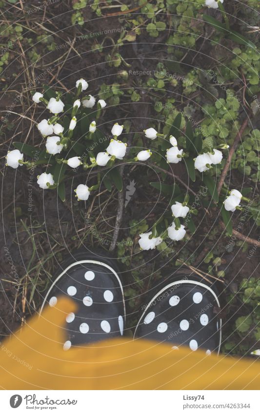 In dotted blue rubber boots looking at the snowflakes from above March flowers blossom Nature Spring heralds of spring bloom mud Rubber boots points Spotted out