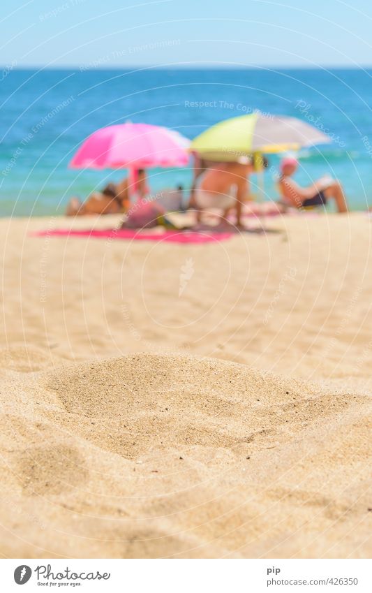 sand in sight Human being Group Environment Nature Cloudless sky Sun Summer Beautiful weather Warmth Coast Beach Ocean Sunshade Beach mat Sand Lie Bright Yellow