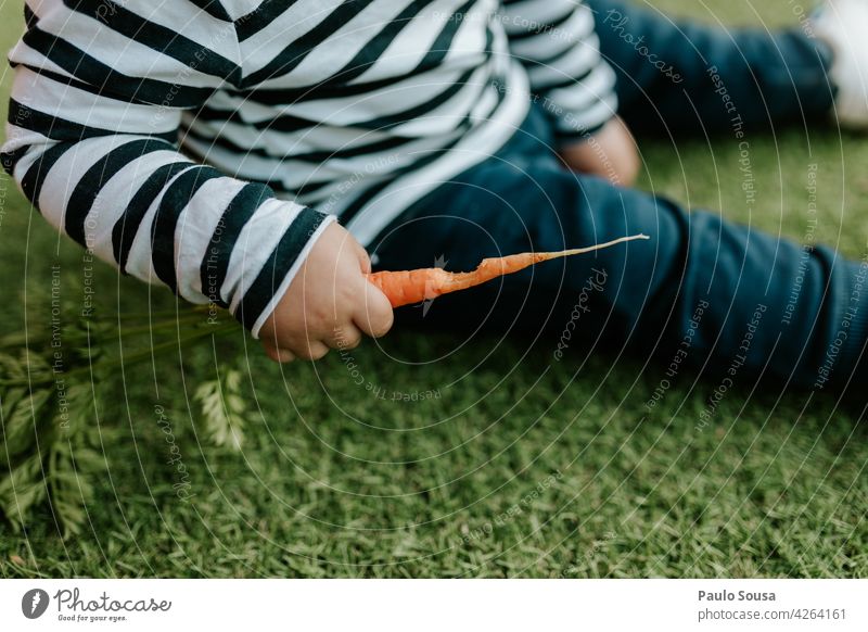 Child eating fresh carrot Unrecognizable Close-up Carrot Eating Fresh freshness Bite Delicious Healthy Eating Vegetable Diet healthy Food Nutrition Colour photo