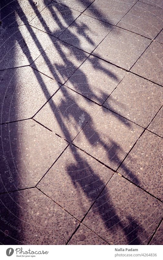 Shadows of themselves Olympus Colour Berlin Street electric scooter off slabs Row Transport Means of transport Exterior shot Mobility e-roller Vehicle eMobility