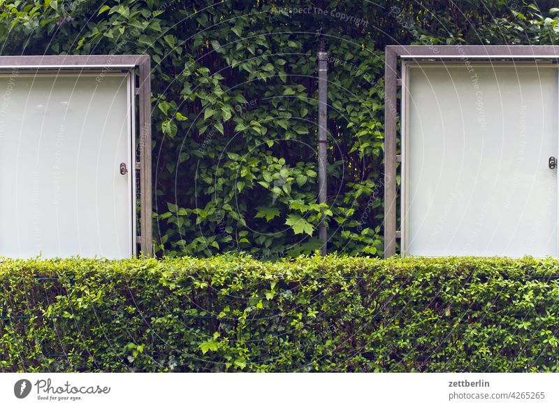 Two display boards info information board Notice Bulletin board Garden Garden plot allotment Garden allotments Hedge foliage Leaf leaves neighbourhood Empty