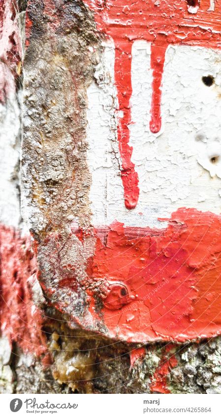 red-white-red. Red color tears on a white background. Red-white-red Hiking Multicoloured Colour photo Footpath Vacation & Travel Contrast Road marking Signage