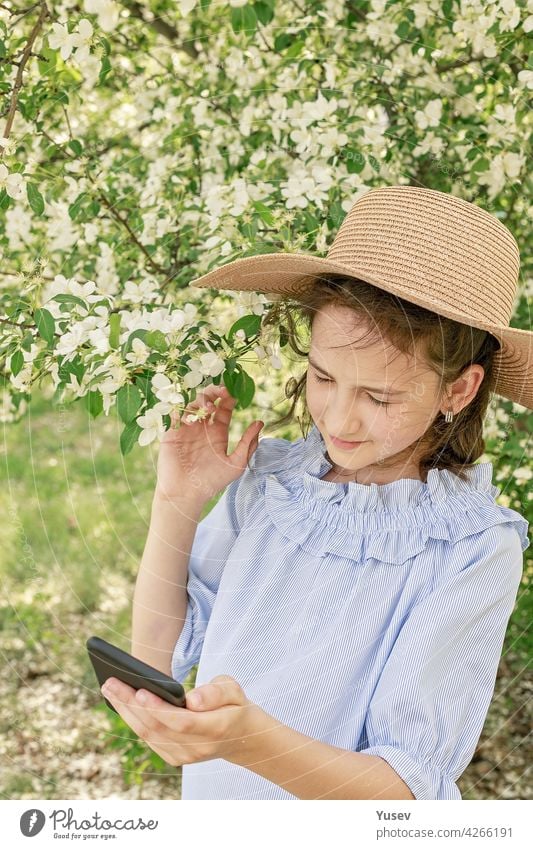 Cute beautiful smiling girl in a straw hat shoots content for social networks on a smartphone. Spring photo frame against the background of blooming apple trees. Happy child. Vertical shot