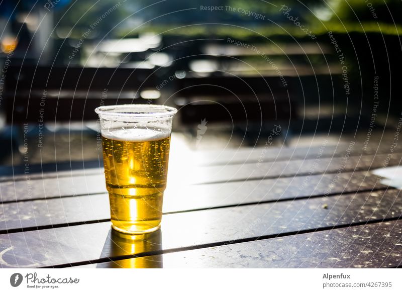 prost Beer Beer garden Pils Alcoholic drinks Exterior shot Sunlight Light (Natural Phenomenon) Deserted Colour photo Glass Beverage Beer glass Cold drink