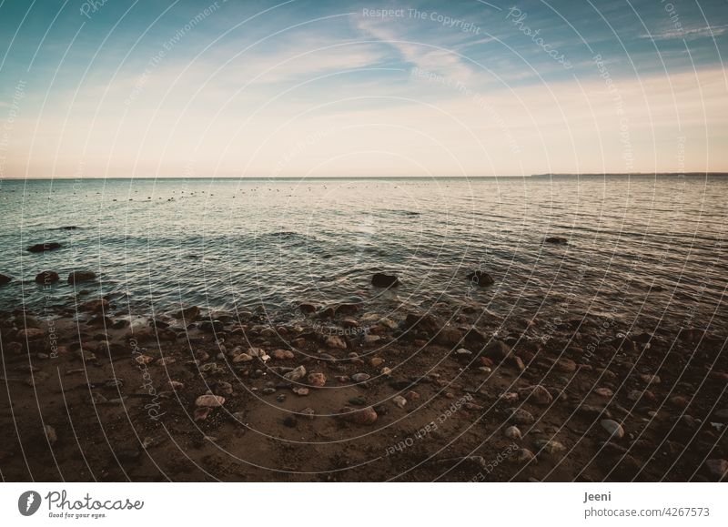 Stony, wet and pale blue Ocean Horizon Far-off places tranquillity Sky Water coast Nature Blue Beach Freedom Landscape Waves Baltic coast Baltic Sea