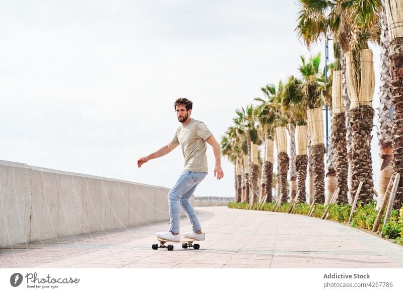 Male skateboarder riding on embankment in tropical town man activity skill hobby ride balance leisure male free time urban active casual cool ability park