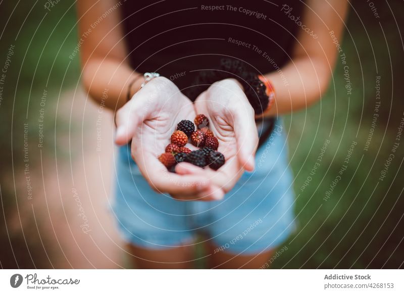 Crop woman with delicious blackberries in hands outdoors blackberry healthy food natural vitamin organic ripe fresh summer tasty show scent demonstrate red