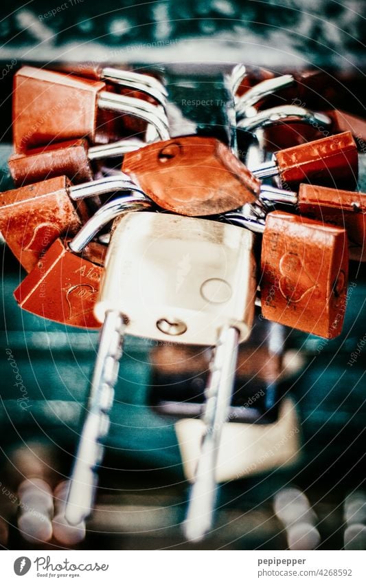 Polygamy? - Locks on a bridge polygamy Bridge Colour photo Exterior shot Close-up Locksmith Central perspective Key Metal Deserted Long shot Safety Detail