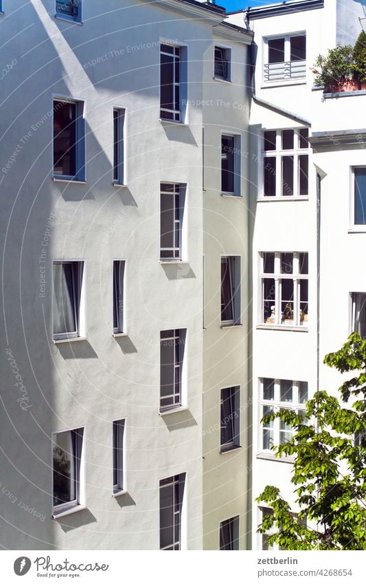 Berlin backyard facade in the morning sun Old building on the outside Fire wall Facade Window House (Residential Structure) rear building Backyard Courtyard