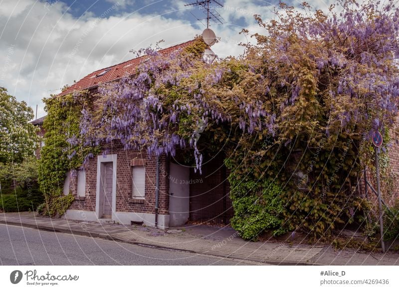 Hambach brown coal district RWE Ghost villages May 2021 alt architecture boarded up house building climate protection coal mining demolish demolition digging