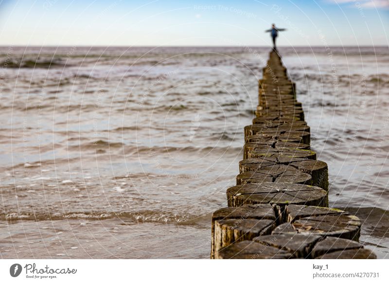 Balancing on a groyne at the Baltic Sea beach Break water groynes Wood Water Walk on the beach Beach Mecklenburg-Western Pomerania Landscape Baltic coast Ocean