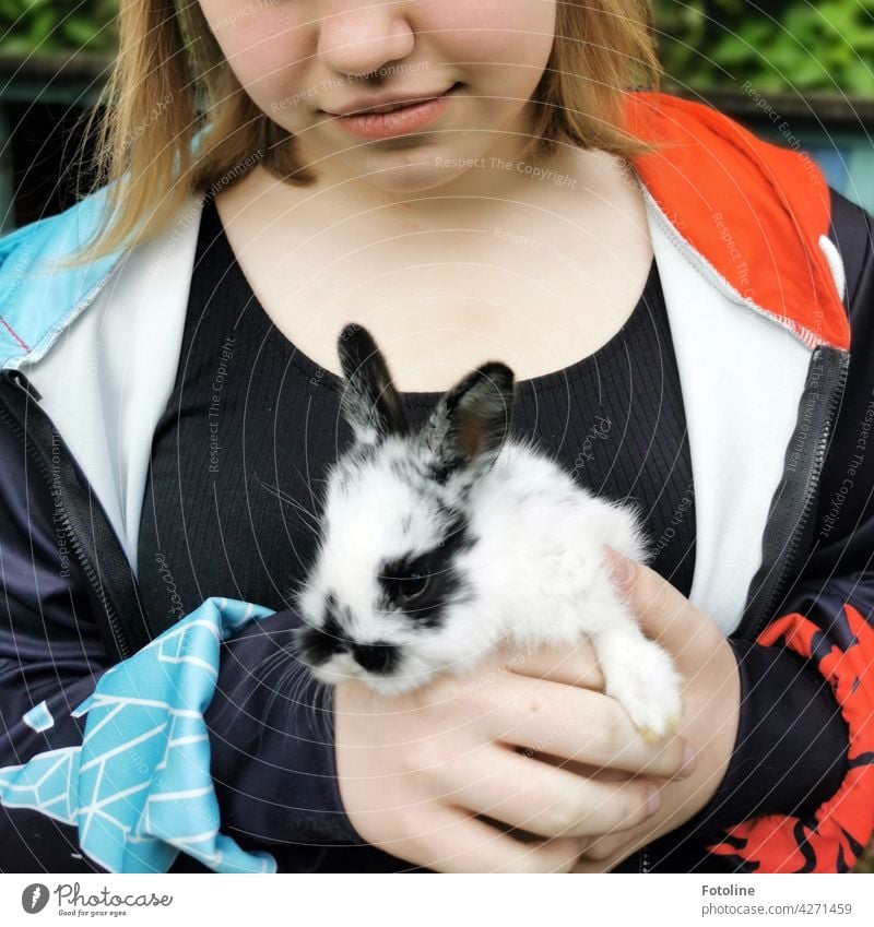 The girl is completely in love with this cute and curious little rabbit. Hare & Rabbit & Bunny Animal Ear Pelt Pet Cute Colour photo Animal portrait Day