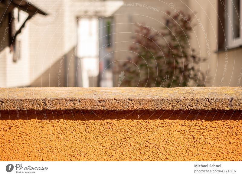 Orange wall in front of the backyard Wall (barrier) Colour photo House (Residential Structure) Building Life Habitat